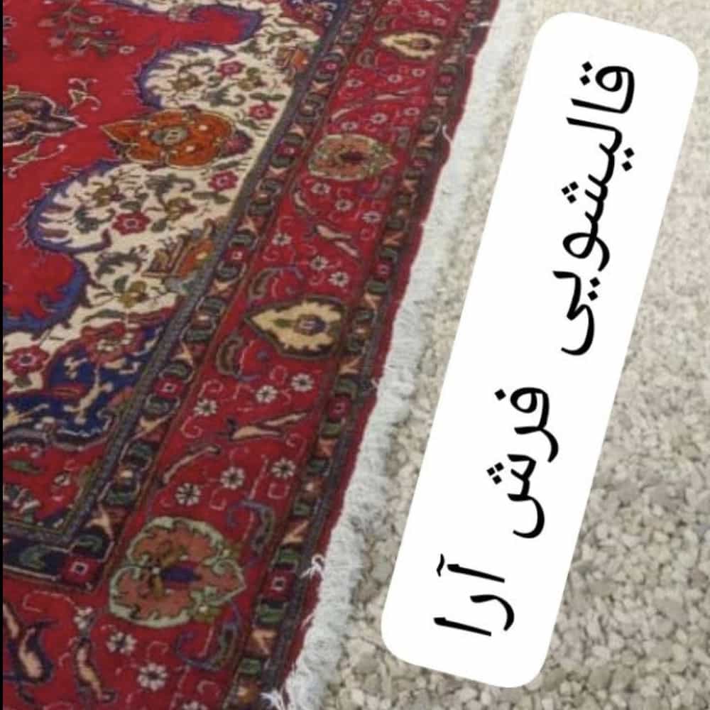 1764749032748.webp